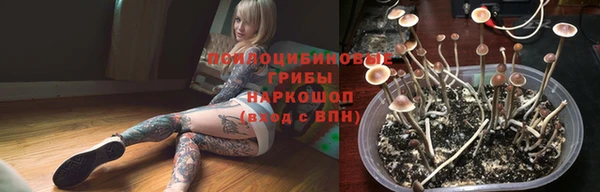 тгк Арсеньев