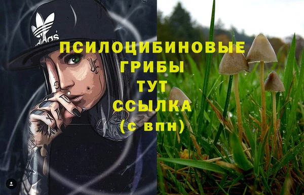 гидра Армянск