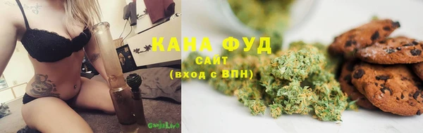 гидра Армянск